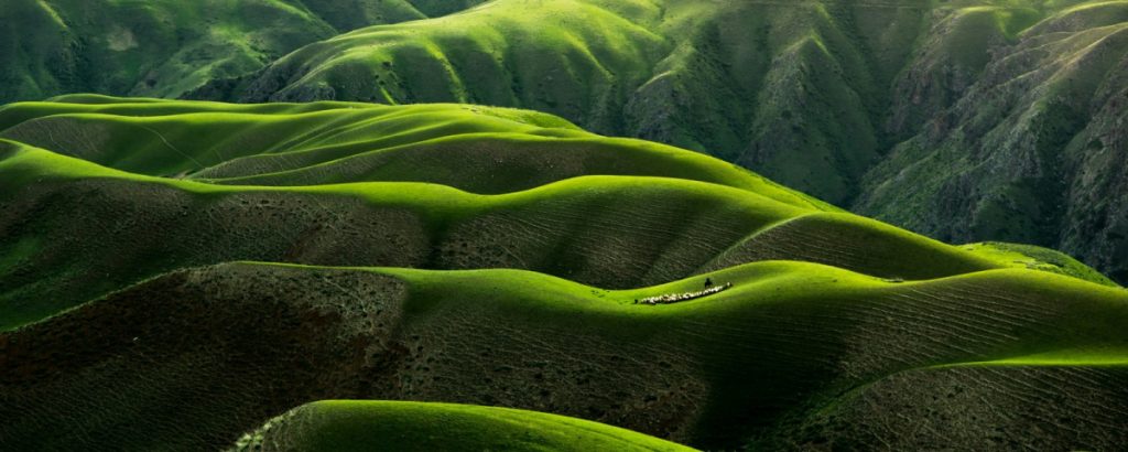 Our Services 1 1024x410 1